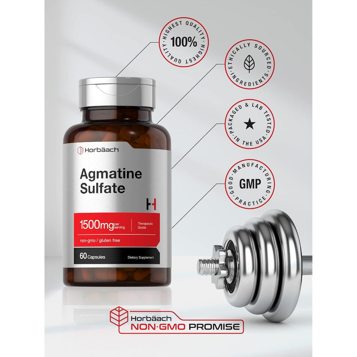 Horbäach Agmatine Sulfate Capsules 1500Mg | 60 Pills | Pharmaceutical Grade | Non-Gmo, Gluten Free Supplement