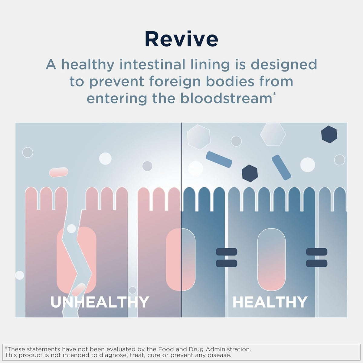 Designs for Health GI Revive Gut Health Powder - L Glutamine & Citrus Pectin for Digestive Health + Slippery Elm, Marshmallow Root & Cat'S Claw for Healthy Intestinal & Gut Lining Support* (28 Servs)