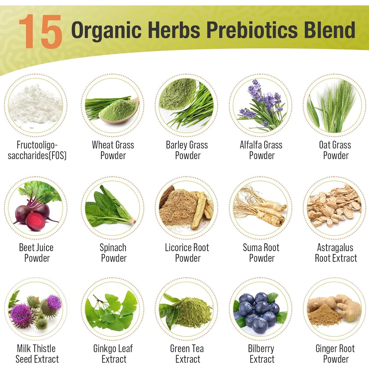 Probiotics for Women & Men - 300 Billion CFU, 24 Strains Probiotics + 15 Organic Herbs Blend, Daily Probiotic for Digestive Health, Immune, Gut, Bloating - 60 Capsule