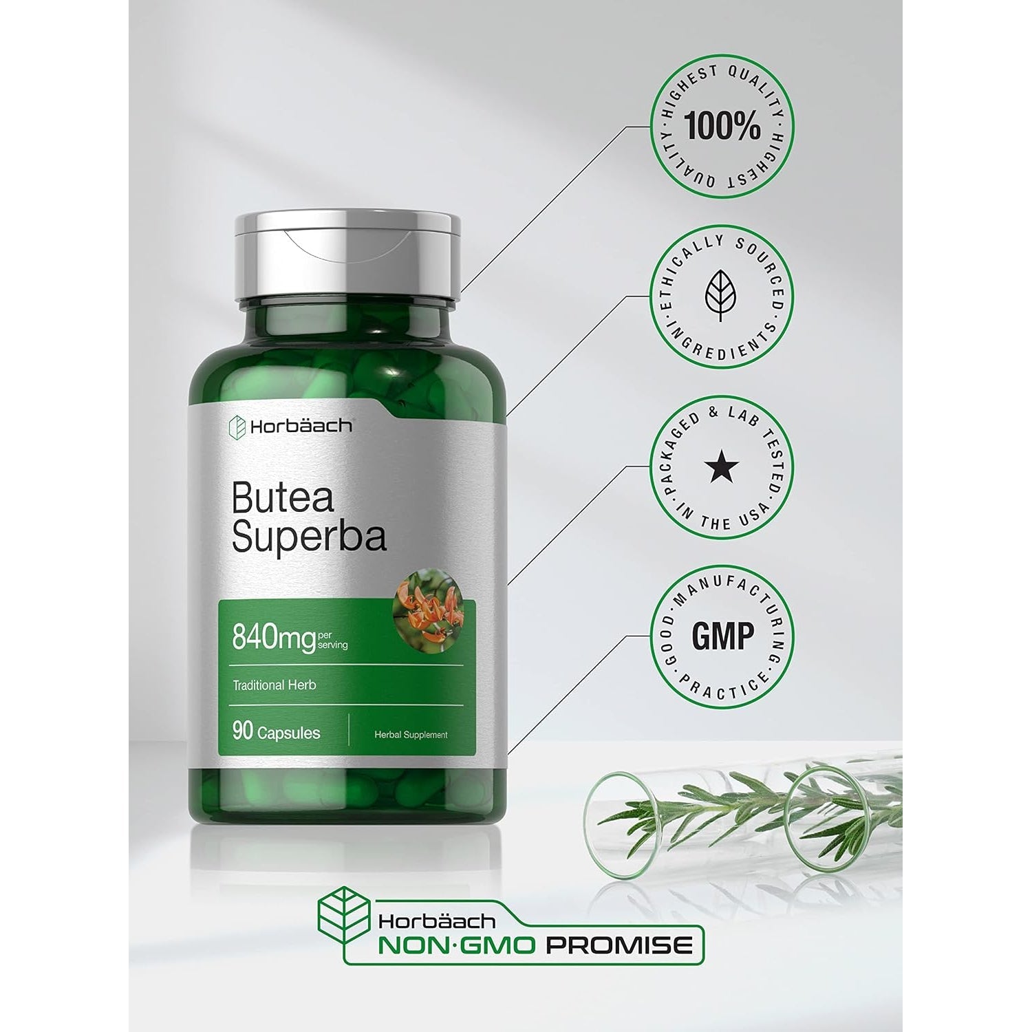 Horbäach Butea Superba Root 840Mg | 90 Capsules | Male Performance | Non GMO, Gluten Free Supplement