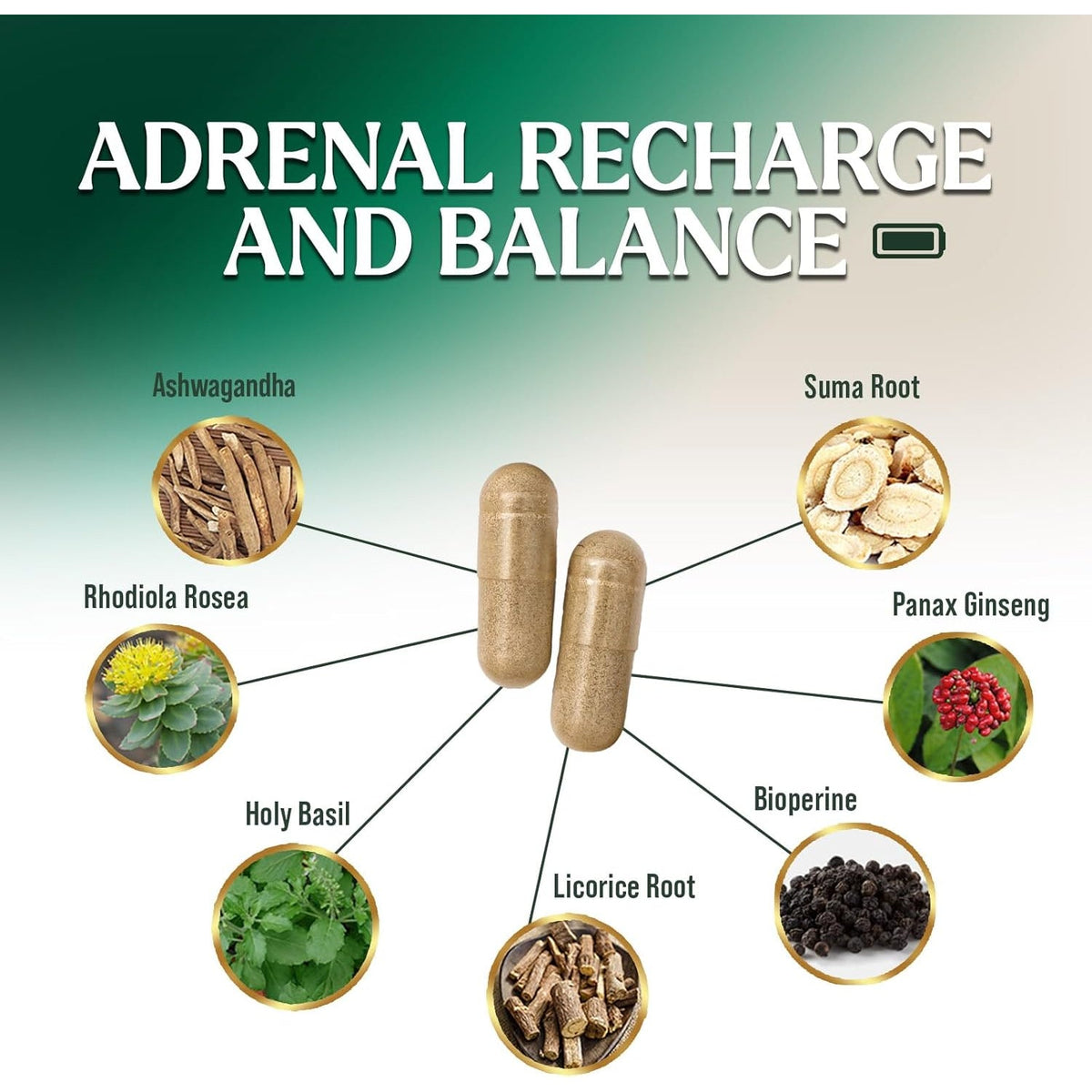 Nature'S Nutrition Adrenal Support Supplements Cortex Complex, Best Energy Supplement, Supports Health & Energy Levels, Daily Ashwagandha for Women & Men, Supports Immune System, 120 Capsules