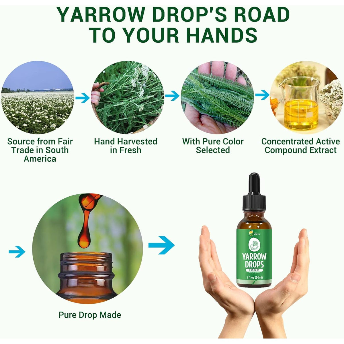 Yarrow Herb Tincture, Organic Yarrow Extract Liquid, GMP Certified, 98% Absorption, Non-Gmo, Vegan, Gluten Free, Alcohol Free- 1 Fl Oz