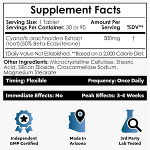 Nootropics Depot Beta Ecdysterone/20-Hydroxyecdysone 50% Capsules | 500Mg | Cyanotis Arachnoidea Extract | Phytoecdysteroid | 30 Count