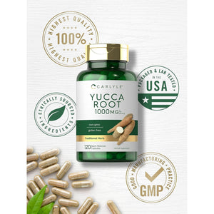 Carlyle Yucca Root Extract | 120 Capsules | Herbal Supplement | Non GMO and Gluten Free