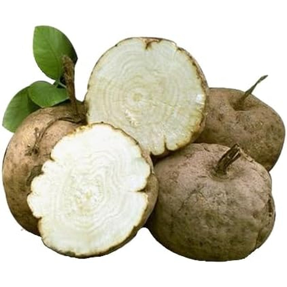 100 Caps Pueraria Mirifica White Extract Powder, 100% 10:1 Potent, Organic, 1,000Mg per Servings, Non GMO from Thailand, Premium Quality, Vegan