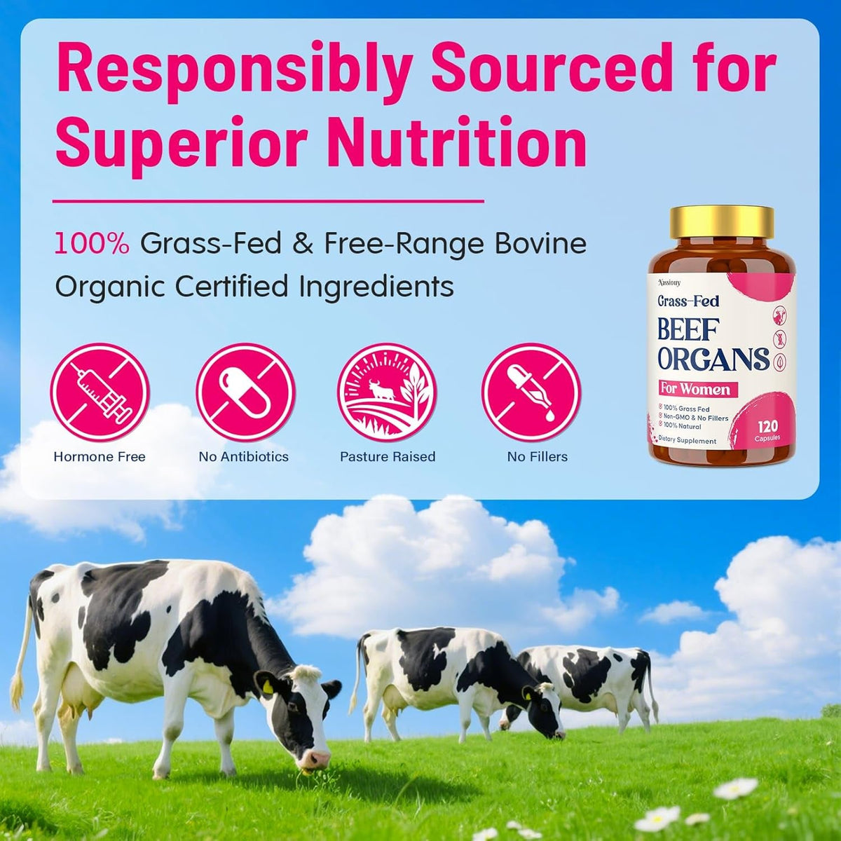 12-In-1 Beef Organ Supplement for Women - Beef Liver, Uterus, Kidney, Heart, Pancreas, 5 Vitamins & 2 Herbs, Hormone Balance, Menstruation, Energy, Immune - 100% Grass Fed, Pasture Raise - 120 Caps