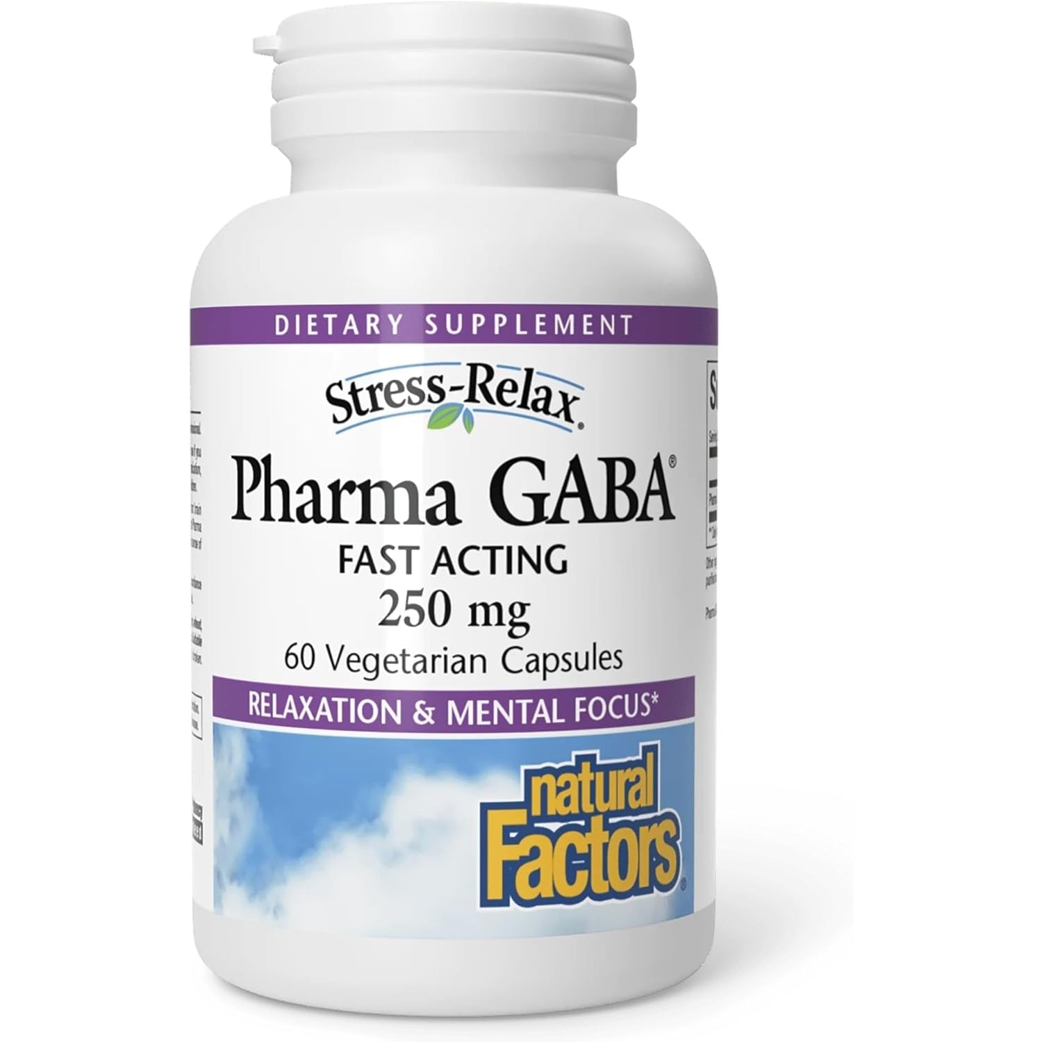 Natural Factors Pharma GABA - Dietary Supplement Supports Calm Sleep & Sleep Quality - Natural, Fast-Working Supplement Aids Focus & Brain Health - 60 Vegetarian Capsules (60 Servings)