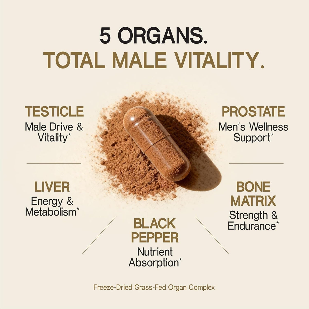Beef Organ Supplement for Men 100% Grass Fed Beef Testicle, Prostate, Liver & Bone Matrix High Absorption with Black Pepper Non-Gmo, Hormone Free, Made in USA 90 Capsules