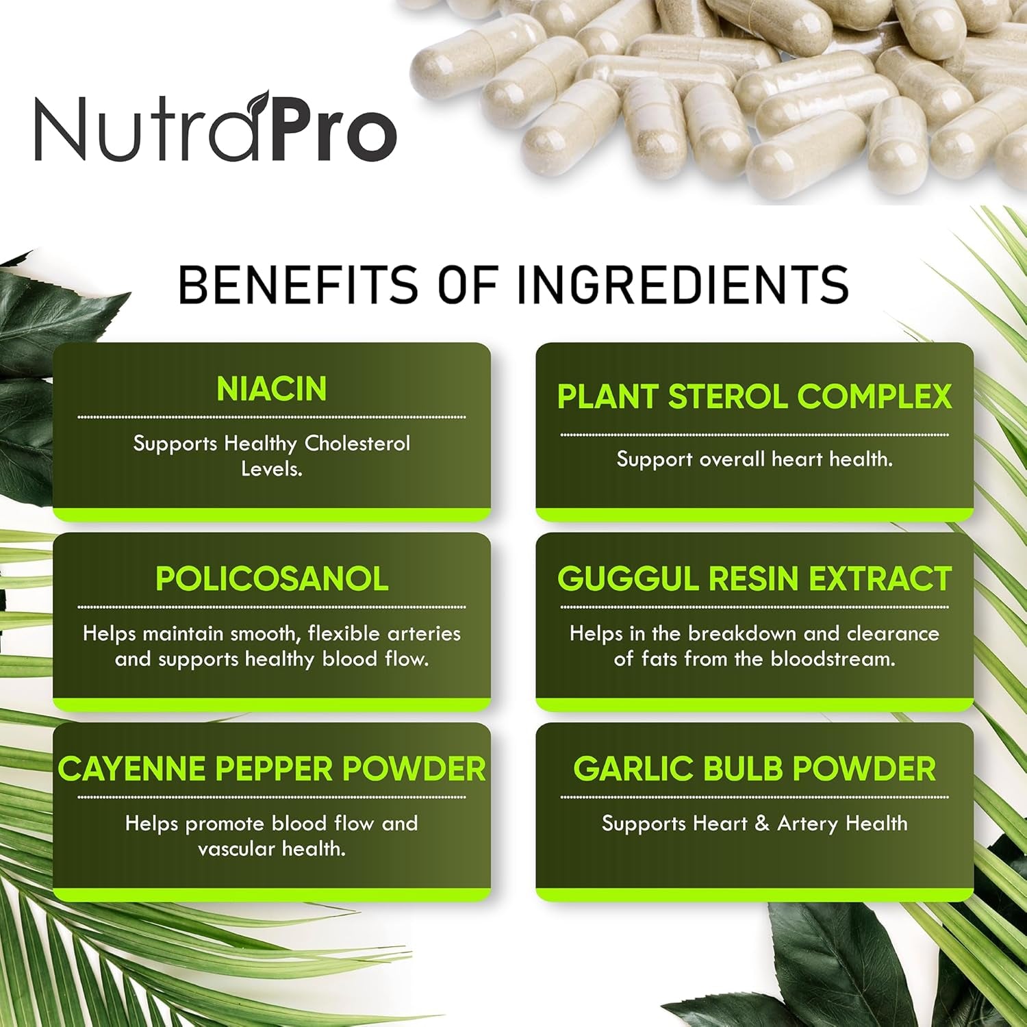 Heart Health Cholesterol Supplements - Cholesterol Health & Heart Support with Plant Sterols, Niacin & Garlic Powder.Vitamins Pills for Healthy Cholesterol and Healthy Heart.Two Months Supply.