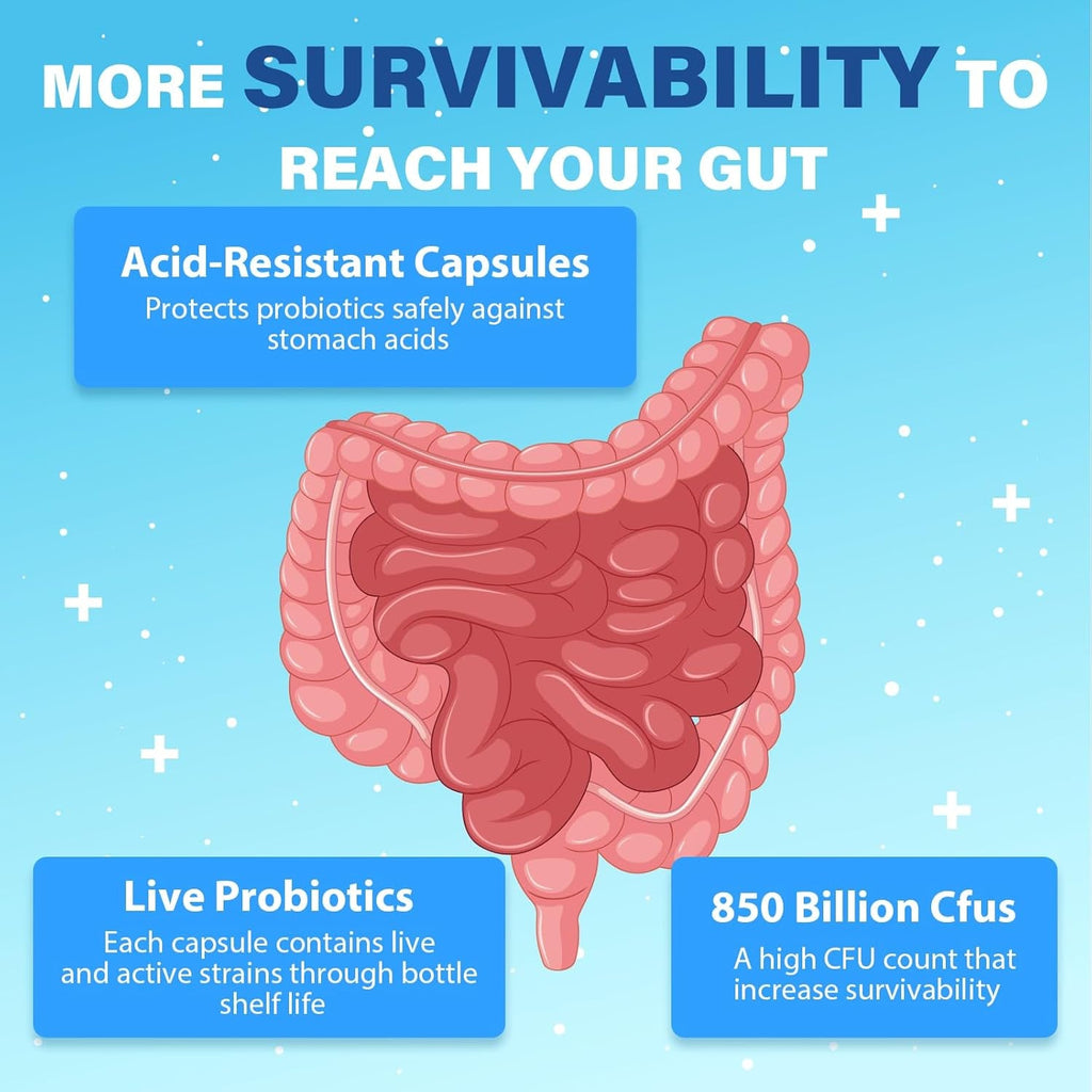 Probiotics for Men, Advanced 50+ Mens Probiotic, Comprehensive Gut & Energy Support with 850 Billion CFU, 1800Mg Prebiotics Fiber – Tailored Wellness Mens Probiotics for Gut Health over 50, 90 Capsule