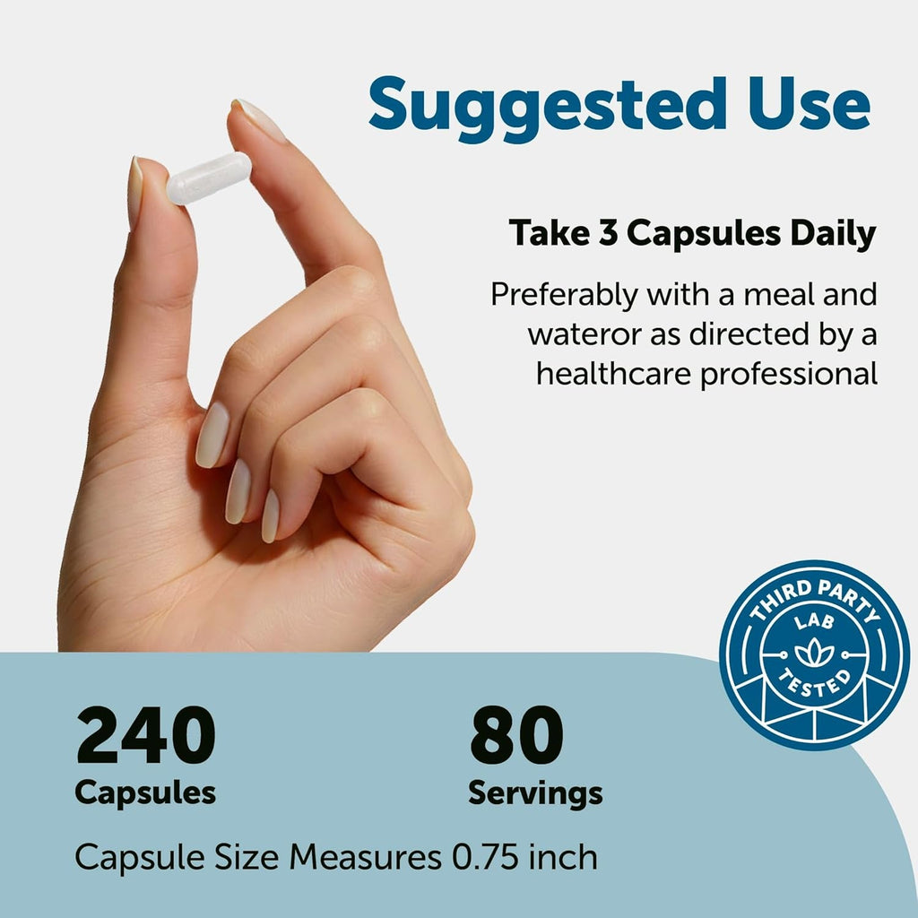 Micro Ingredients DHEA 100 Mg per Serving, 240 Capsules | Micronized DHEA Supplement for Women & Men | Non-Gmo, Gluten Free, Soy Free