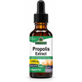 Nature'S Answer Alcohol-Free Propolis Resin, 1-Fluid Ounce