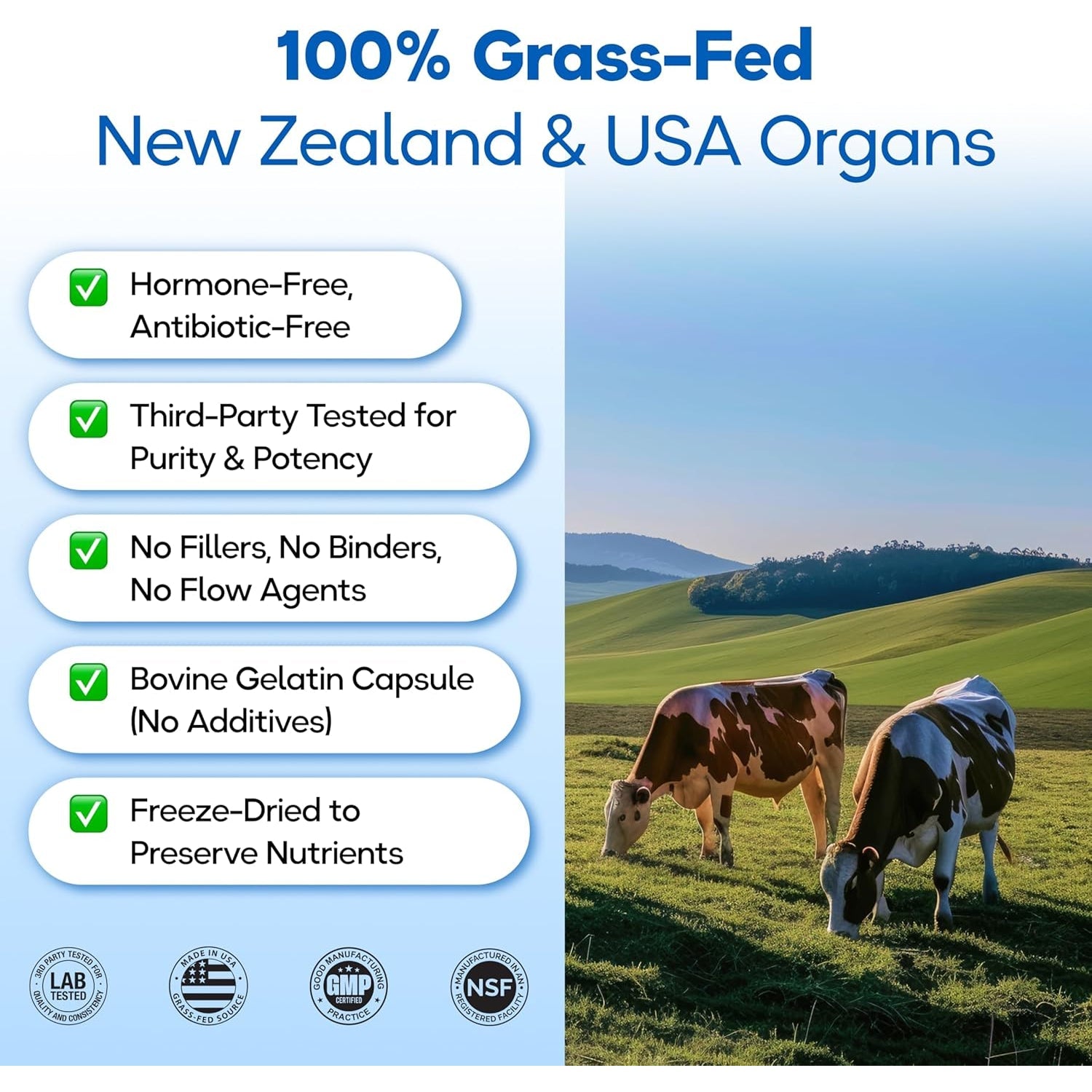Grass Fed Beef Organ Supplement 3000Mg (8 Organs) - Bone Marrow, Thymus, Liver, Heart, Kidney, Trachea, Spleen, Lung - Freeze-Dried - 120 Capsules (30 Servings)
