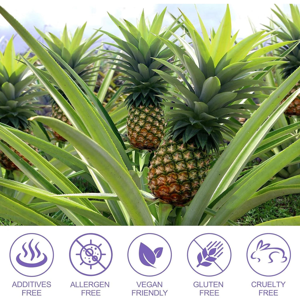 Pineapple Gummies for Women PH 60 Count, PH Balance for Women, Probiotics Vaginal Gummy, Improve Immune, Hawaiian Pineapple Flavor, Vegan & Low Sugar, Premium Balance Gummies