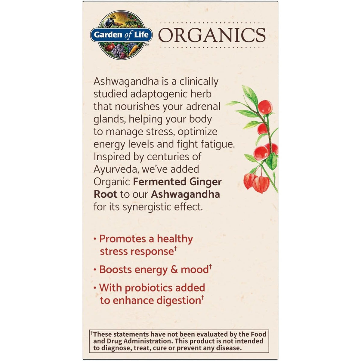 Garden of Life Organic Ashwagandha Supplement with Probiotics & Ginger - Stress, Mood & Energy Support, Vegan, Gluten Free, Non GMO, 2 Month Supply, 60 Tablets