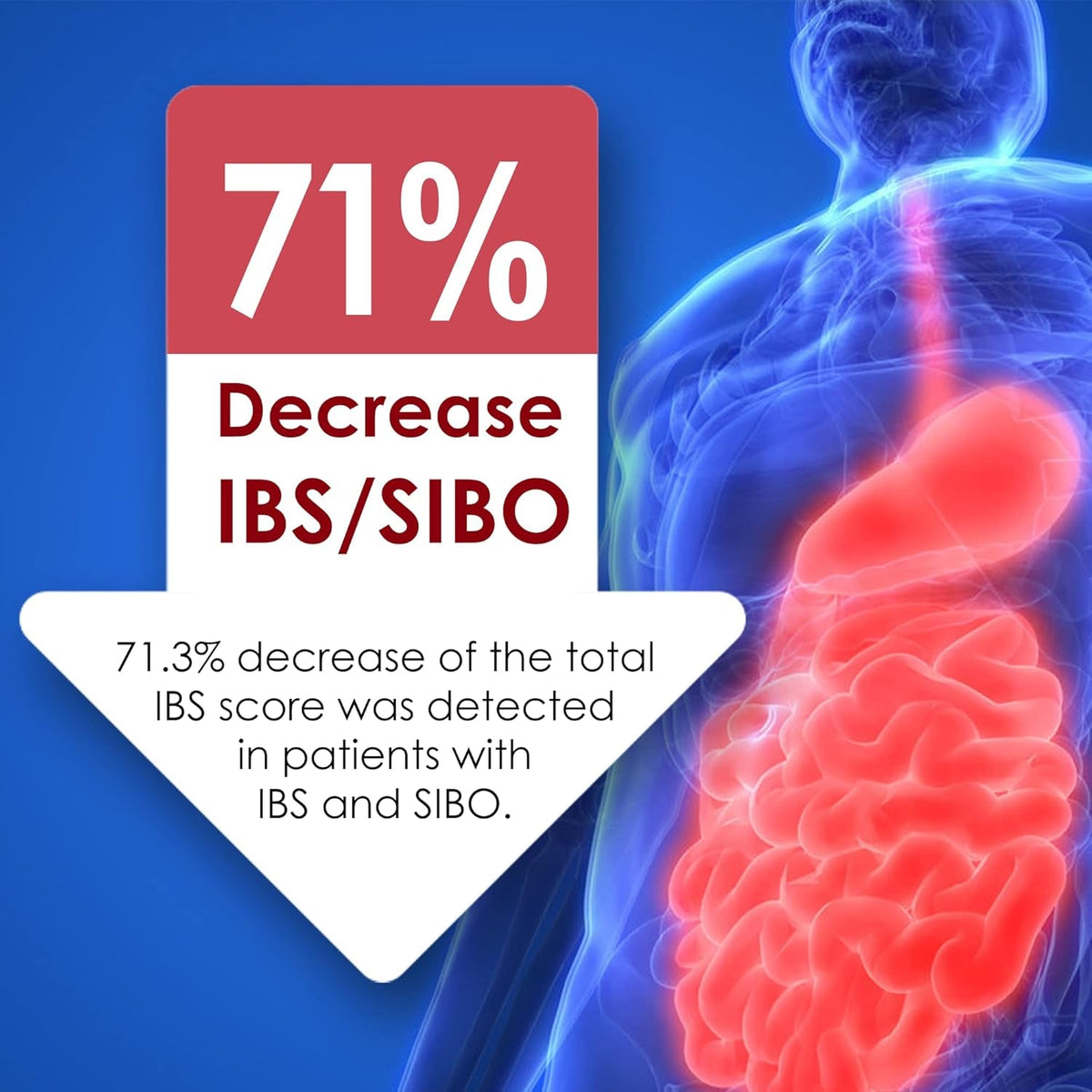 SIBO | IBS Relief (Clinical Grade Treatment) Bloating, Diarrhea, Leaky Gut, Gas | Delayed Release Peppermint | Supplement Effective on Irritable Bowel Syndrome & Small Intestine Bacteria Overgrowth