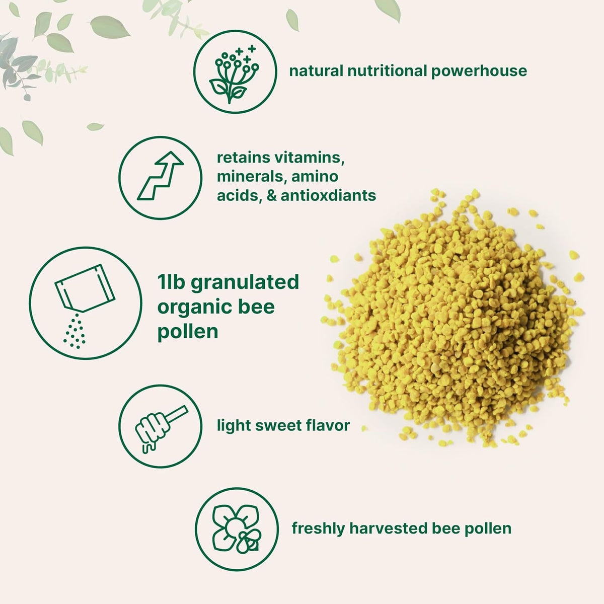 Micro Ingredients Organic Bee Pollen Granules, 1 Lb | Fresh Harvest, Raw & Natural Superfood | Rich in B Vitamins, Minerals, Protein & Antioxidants | Keto, Non-Gmo
