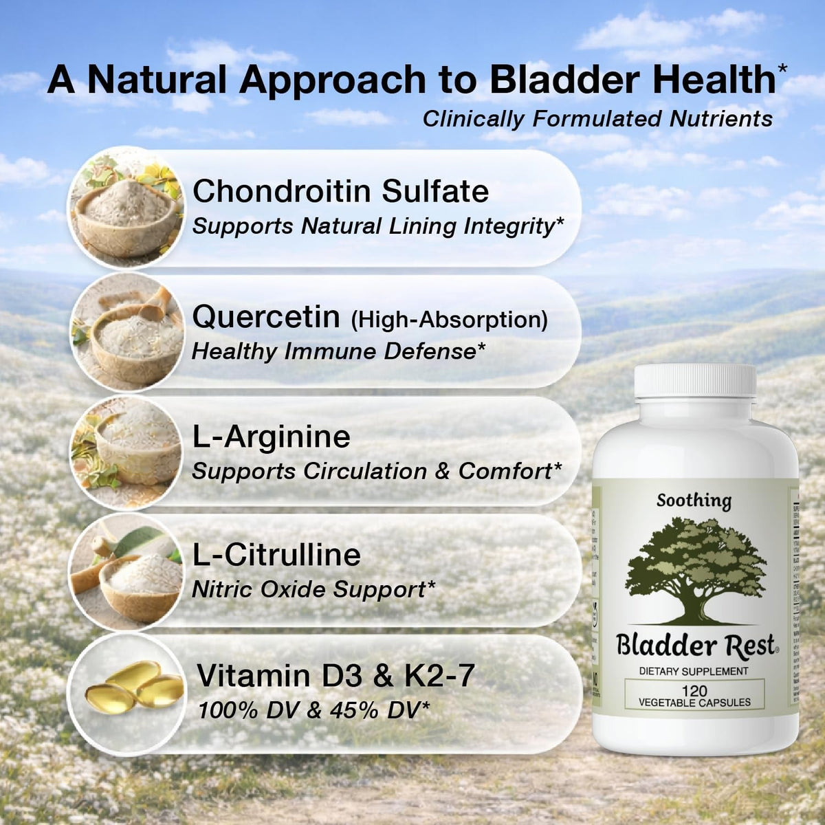 Bladder Health & Pelvic Discomfort* - Natural Lining Support* -120 Capsules - Made in the USA