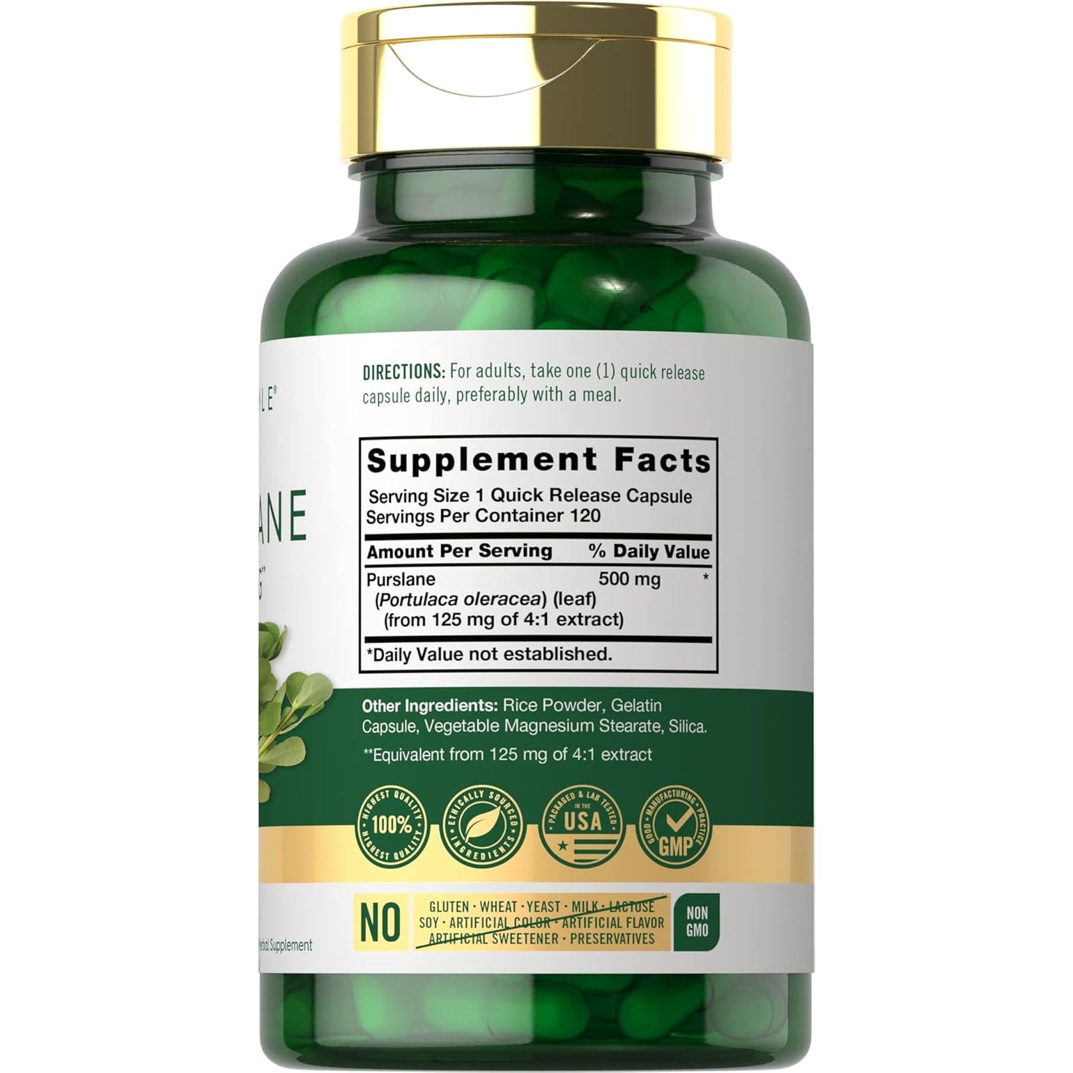Carlyle Purslane Capsules | 120 Count | Portulaca Oleracea Extract | Non-Gmo, Gluten Free Supplement
