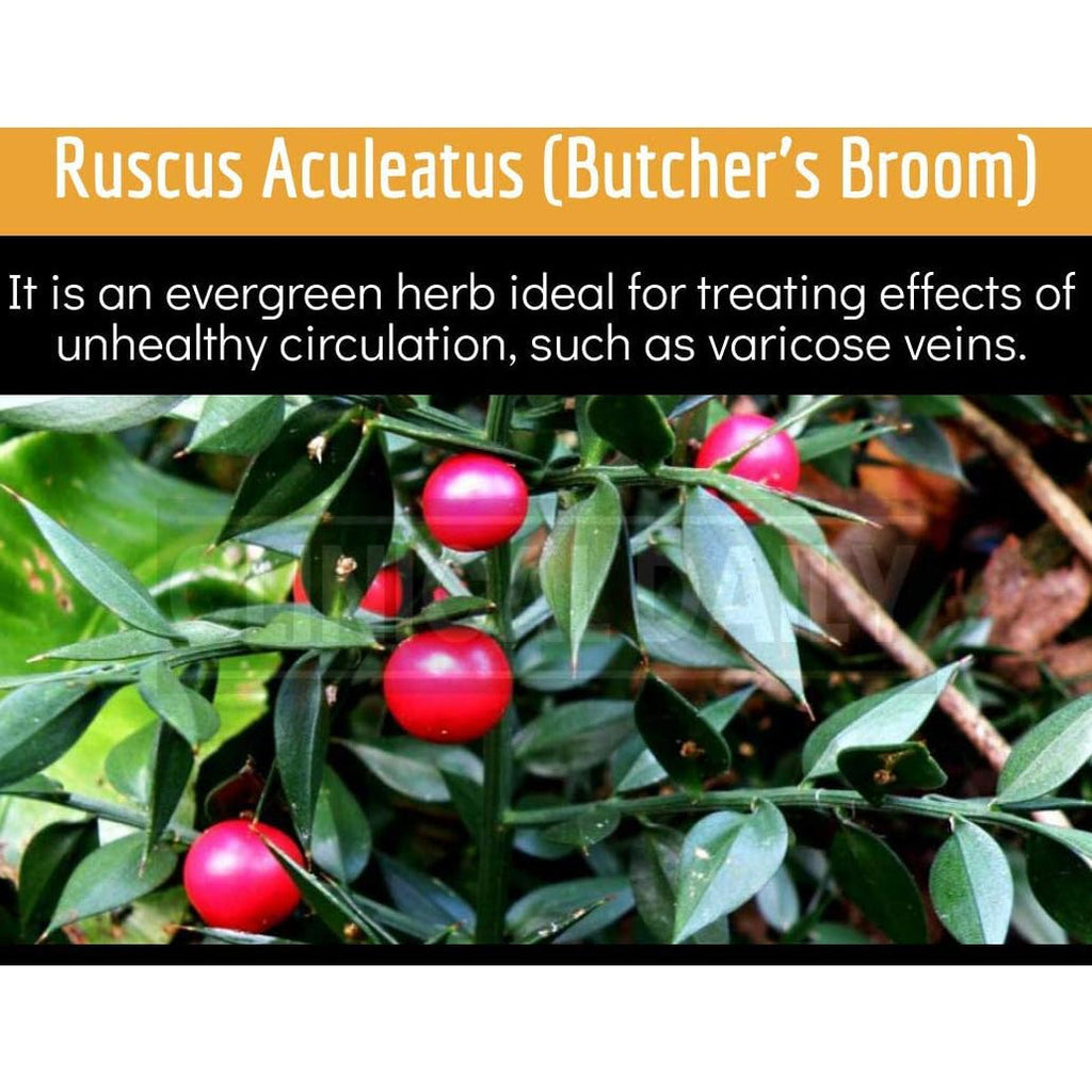 Clinical Daily Blood Circulation Supplement. Butchers Broom, Horse Chestnut, Cayenne, L-Arginine, Diosmin. Herbal Varicose Vein Treatment. Poor Circulation and Vein Support. 90 Capsules