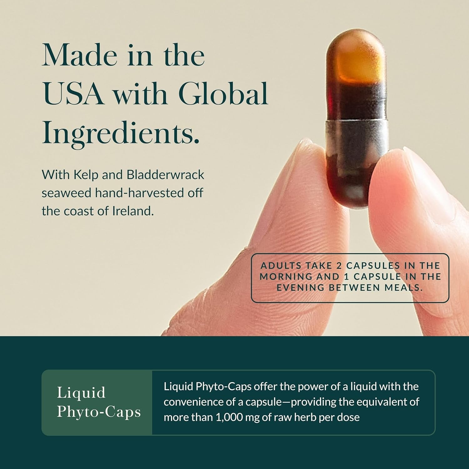 Gaia Herbs Thyroid Support - Made with Ashwagandha, Kelp, Brown Seaweed & Schisandra to Support Healthy Metabolic Balance & Overall Well-Being* - 60 Vegan Liquid Phyto-Caps (30 Servings)