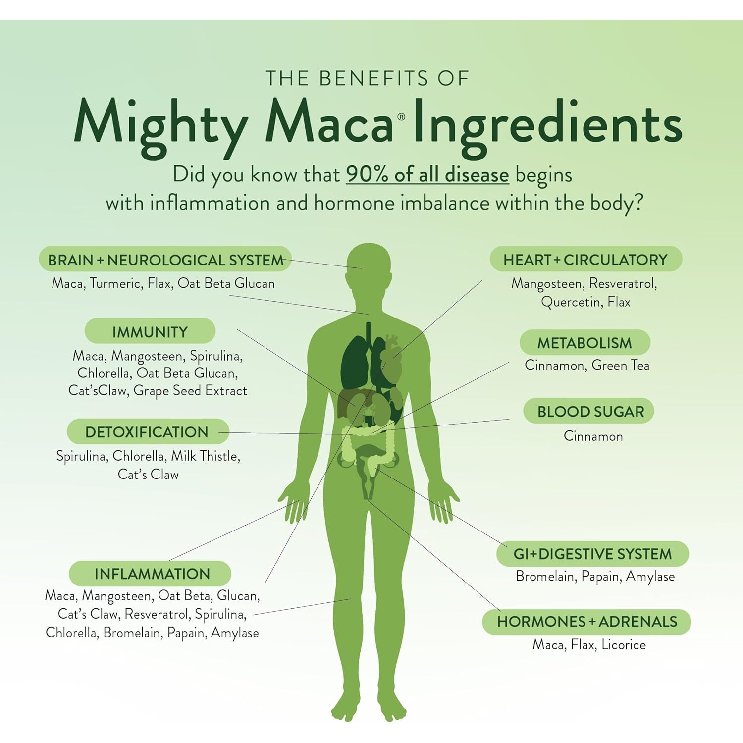VIDAPURA Mighty Maca plus by Dr. Anna Cabeca – Organic Superfood Greens Powder for Daily Energy & Vitality, Vegan & Alkaline, 60 Servings