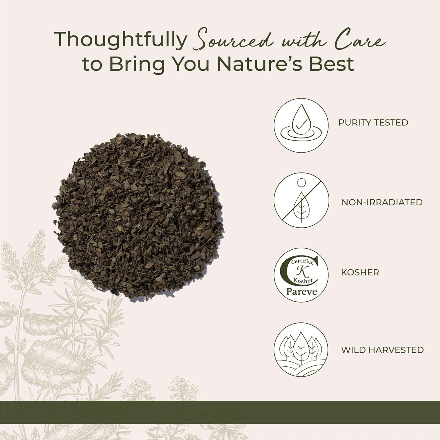 Starwest Botanicals Wildcrafted Chaparral Leaf - Dried Loose Leaf Herb for Tea, Sourced from Creosote Bush, Cut & Sifted, Certified Kosher - Bulk 1 Lb Bag