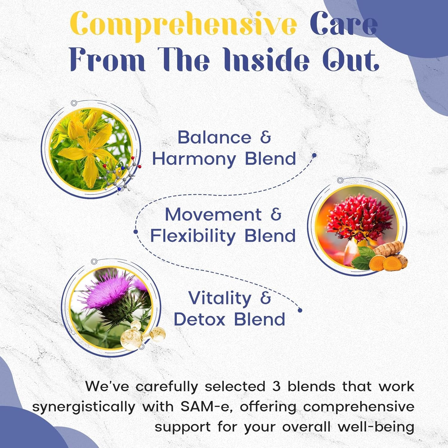 1200 MG SAM E Supplement for Brain, Mood, Joint, and Liver, High Absorption Sam-E (S-Adenosyl-L-Methionine) with Coq10, 5-HTP, Enteric Coated 60 Tablets, Vegan