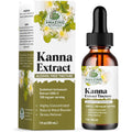 Amazing Botanicals Sceletium Tortuosum Kanna Extract Tincture 200X Menstrum – Liquid Supplement – 30Ml (1Oz)