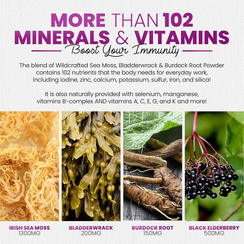 Sakoon Nutrition Irish Sea Moss Gummies with Elderberry & Black Seed Oil - Raspberry Flavor - 60 Gummies