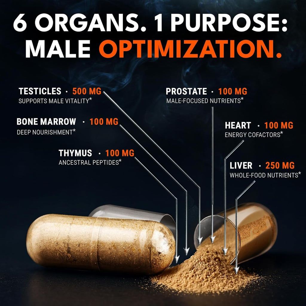 Beef Organ Complex Capsules for Men - New Zealand and Grass Fed Finished Bull Supplement, Freeze Dried and Non-Gmo Bovine Testes, Liver, Thymus, Heart, Bone Marrow - 2-Month Supply