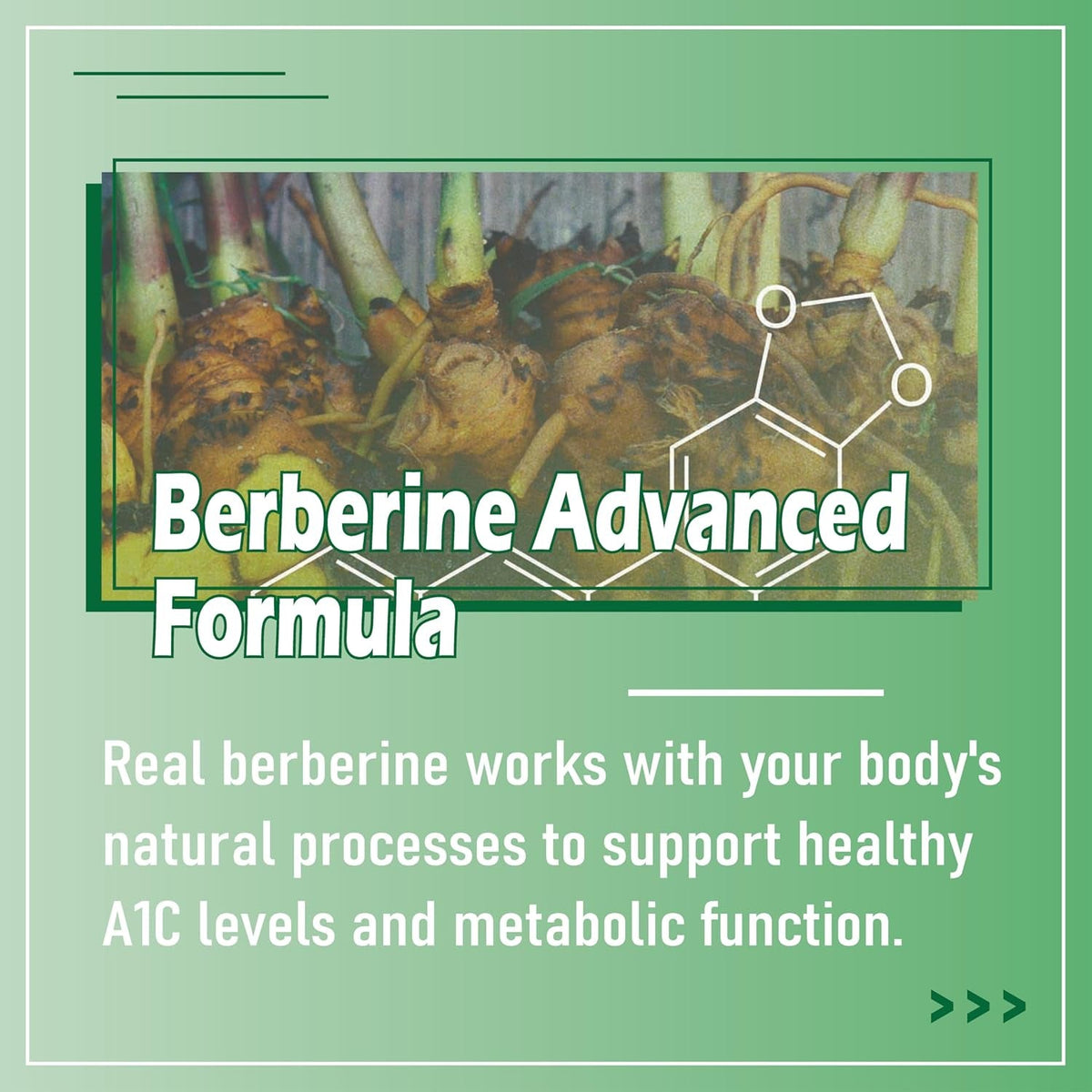 Juvona Berberine – Advanced Formula | Non-Gmo | 60 Capsules