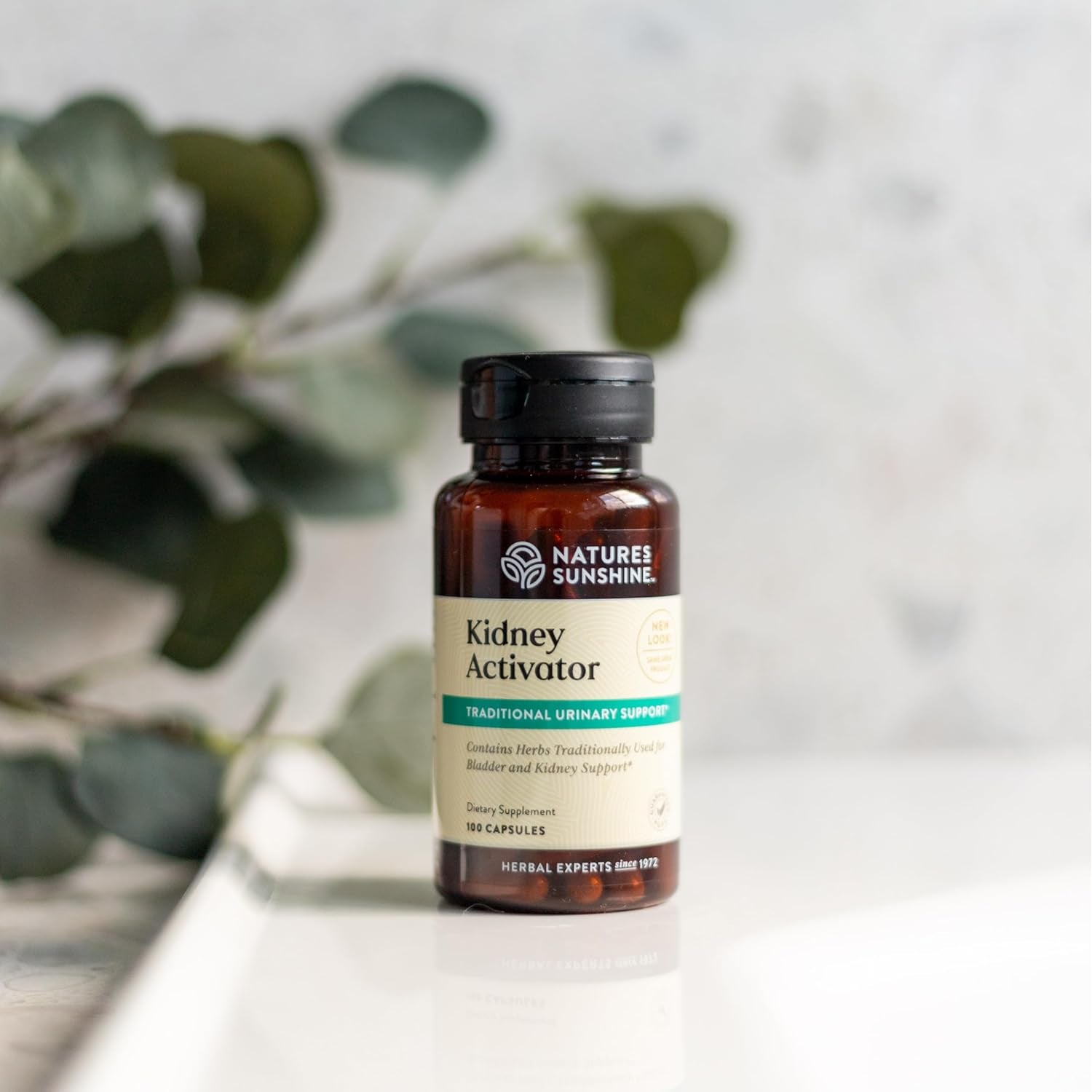 Nature'S Sunshine Kidney Activator Capsules, 100 Capsules | Natural Kidney Supplement Contains Herbs to Support and Enhance Kidney Function and Urine Flow