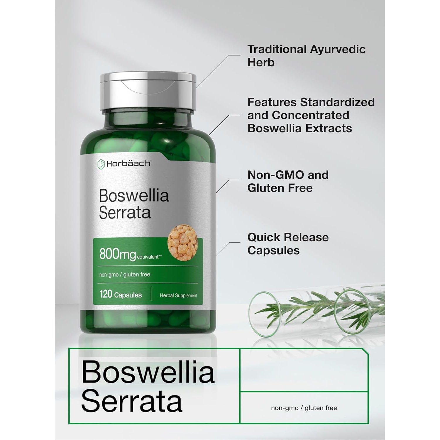 Horbäach Boswellia Serrata Extract Capsules | 120 Count | Herbal Supplement | Non GMO, Gluten Free