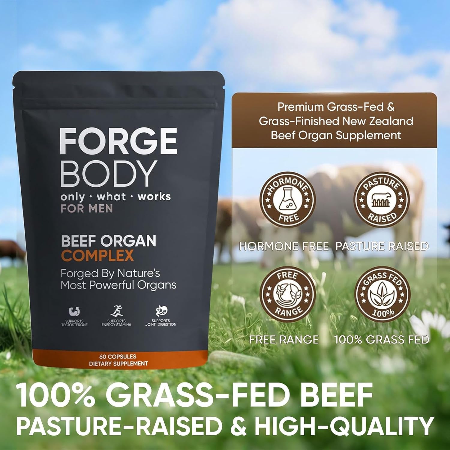 Forgebody Beef Organ Complex Capsules, Grass Fed & Pasture Raised - Total Body Wellness & Performance, Immune Support, Gluten-Free, Non-Gmo, 60 Count (1)