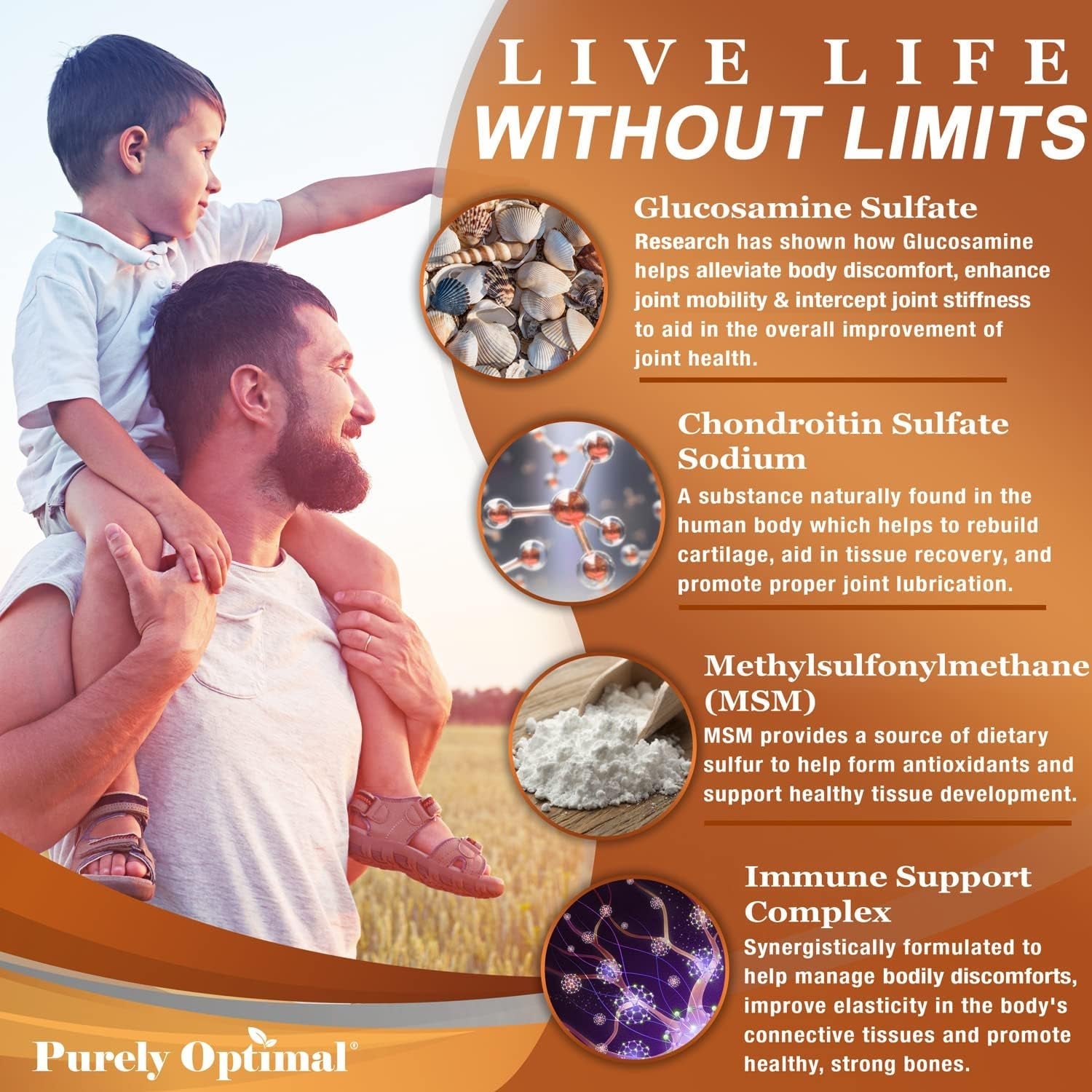 Purely Optimal Glucosamine Chondroitin MSM Supplement W/Turmeric & Boswellia - Glucosamine Sulfate Joint Supplement for Men & Women - 120 Tablets