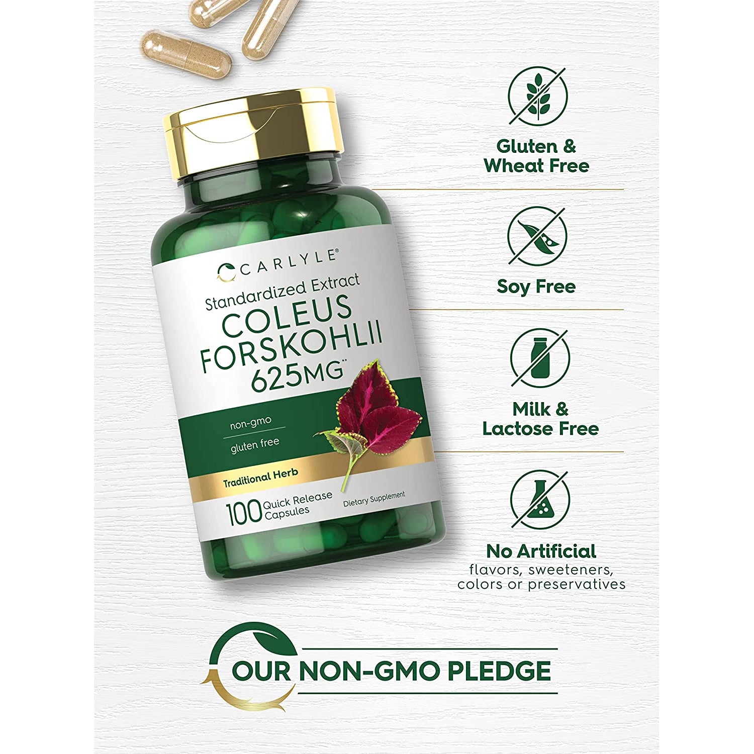 Carlyle Coleus Forskohlii Capsules | 100 Count | Forskolin Standardized Extract Supplement | Non-Gmo & Gluten Free