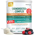Granions Glucosamine Chondroitin MSM Powder 6,630Mg - Joint Supplements for Men and Women - Chondrosteo, Hydrolyzed Marine Collagen Peptides, Essential Vitamins Glucosamine Complex - Wild Berry 9.9Oz
