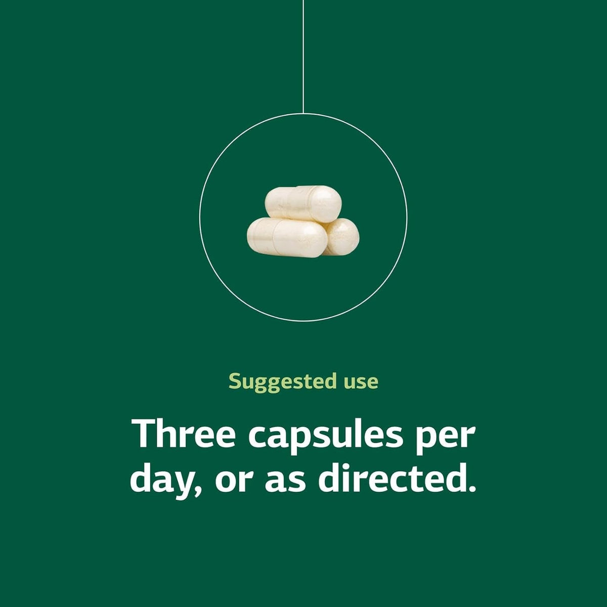Standard Process A-C Carbamide - Supports Healthy Excretion of Urine & Cellular Fluid Levels - Contains Vitamin a & Antioxidant Vitamin C - Gluten-Free, Non-Dairy & Non-Soy - 270 Capsules