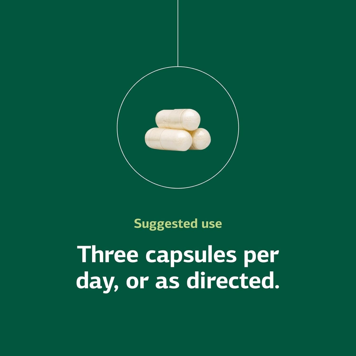 Standard Process A-C Carbamide - Supports Healthy Excretion of Urine & Cellular Fluid Levels - Contains Vitamin a & Antioxidant Vitamin C - Gluten-Free, Non-Dairy & Non-Soy - 270 Capsules