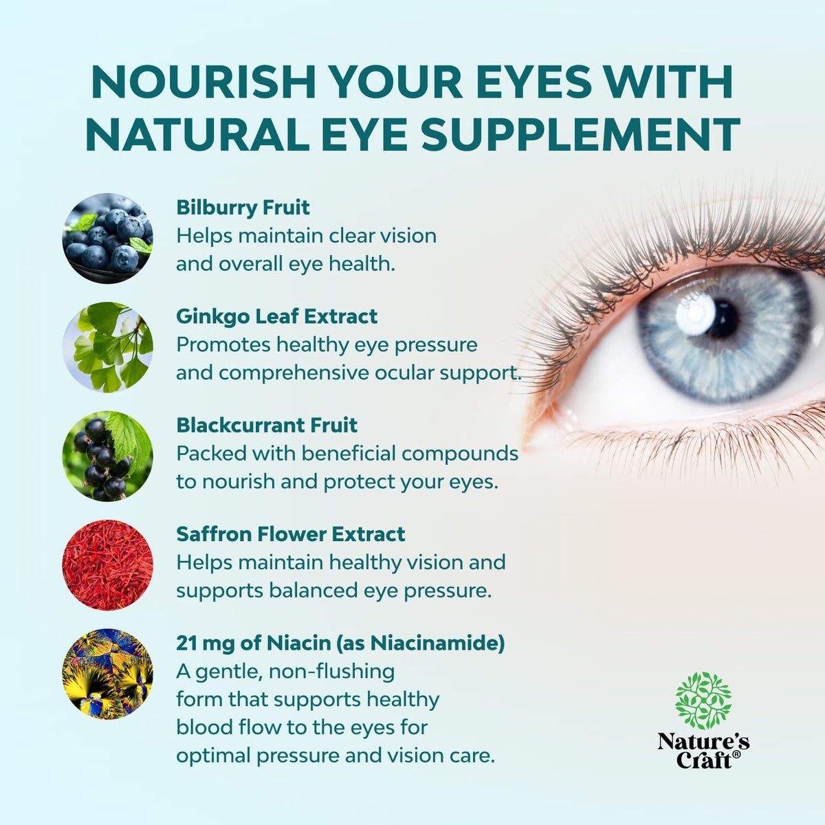 Natures Craft Eye Pressure Support with Bilberry Extract - Vegan Eye Health Supplement for Adults for Ocular Pressure Relief with Saffron Ginkgo Niacin and More Vitamins Vision Support - 30 Count