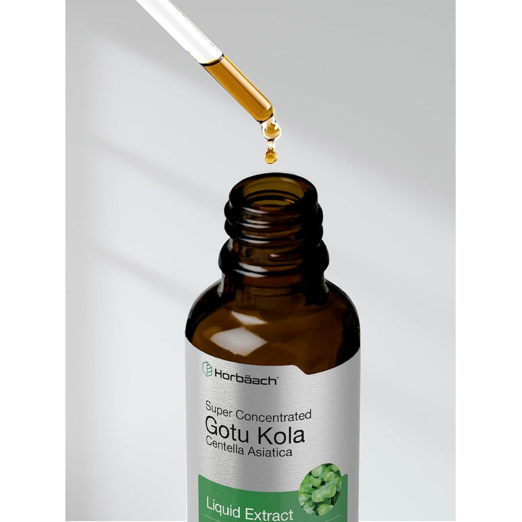 Horbäach Gotu Kola Extract | 2 Fl Oz | Alcohol Free | Super Concentrated Liquid Herb Supplement | Vegetarian, Non-Gmo, Gluten Free