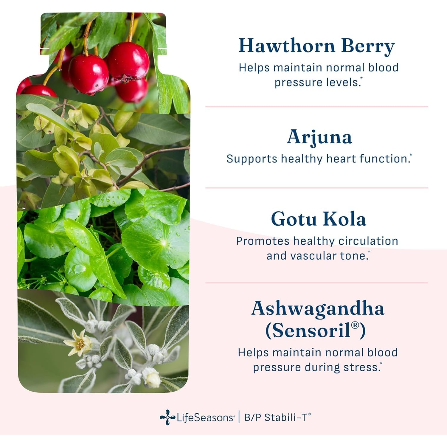 Lifeseasons B/P Stabili-T - Blood Pressure Support - Supplement for Healthy Heart & Circulation - Ashwagandha, Arjuna, Gotu Kola & Hawthorn Berry - 120 Capsules
