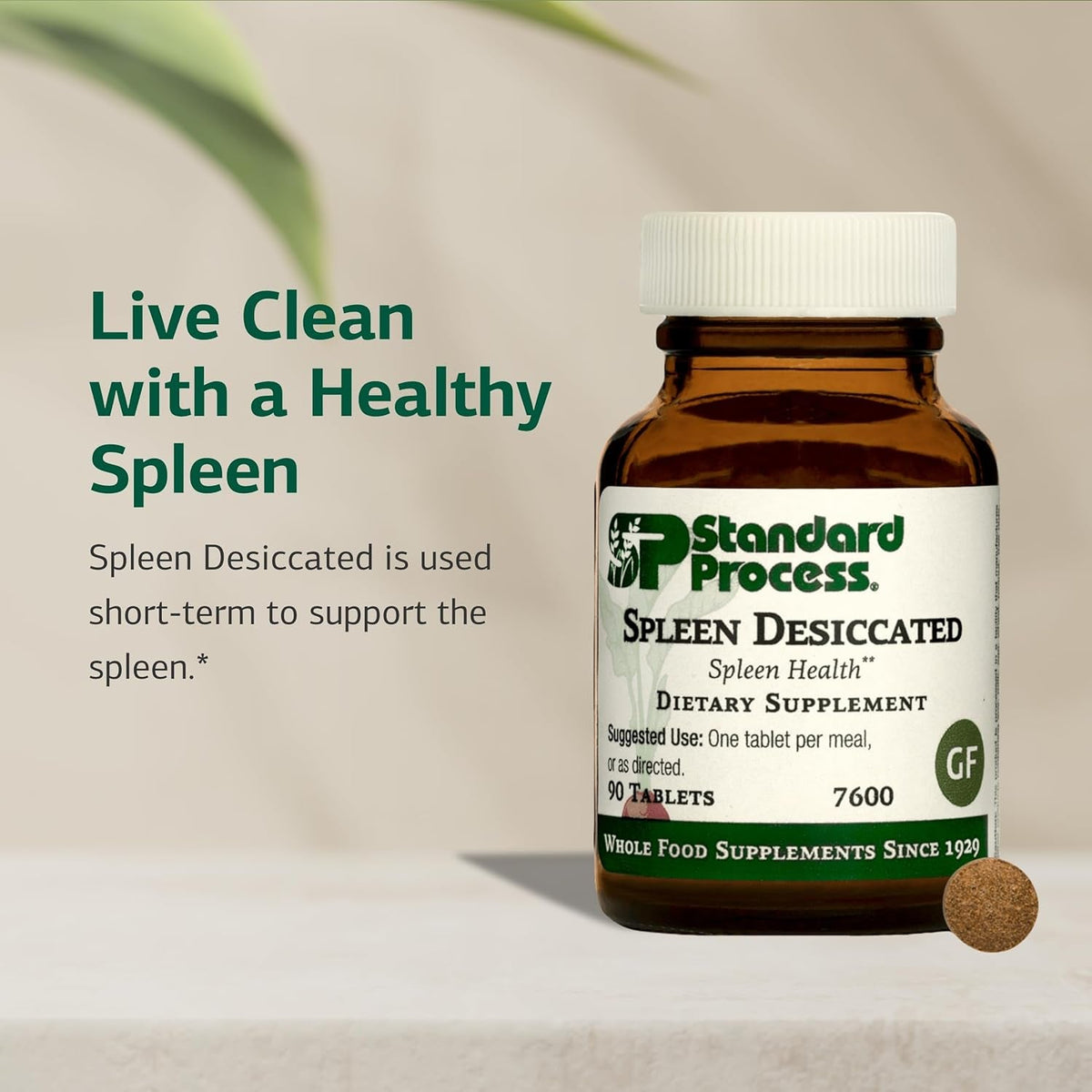 Standard Process Spleen Desiccated - Whole Food-Based Supplement to Support Spleen Health - Aid Healthy Immune System - Supplement with Proprietary Blend with Bovine & Ovine Spleen - 90 Tablets