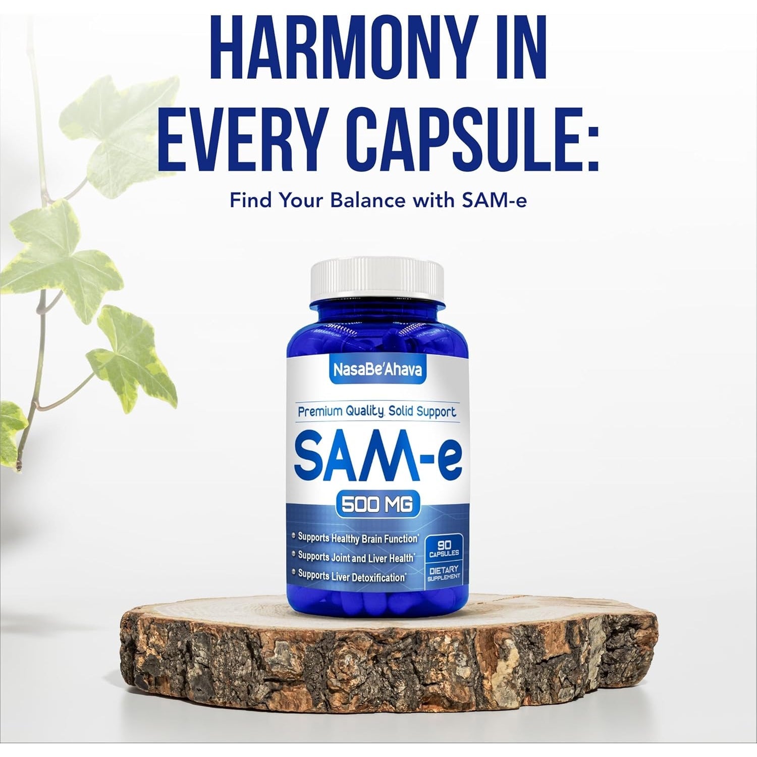 SAM-E Supplement 500Mg | Easy Absorption S-Adenosyl-L-Methionine Sam-E 500Mg for Bone and Mood Support Supplement | Made in the USA Non-Gmo and Gluten Free (90 Day Supply)