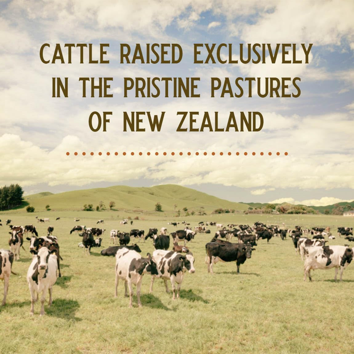 Grass Fed Beef Liver from New Zealand - Freeze Dried 3000Mg per Serving (500Mg per Capsule) (30 Servings)