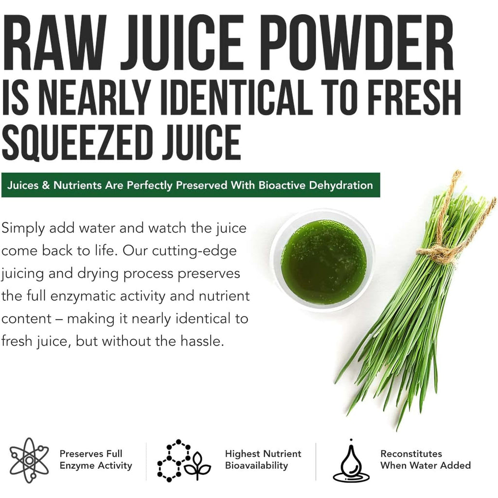Organic Barley Grass Juice Powder - Grown in Volcanic Soil of Utah - Raw & Bioactive Form, Cold-Pressed Then CO2 Dried – Gluten Free, GMO Free, Vegan - Complements Wheatgrass Juice Powder - 5.3 Oz