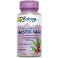 SOLARAY Mastic Gum Extract 500 Mg 45 Count