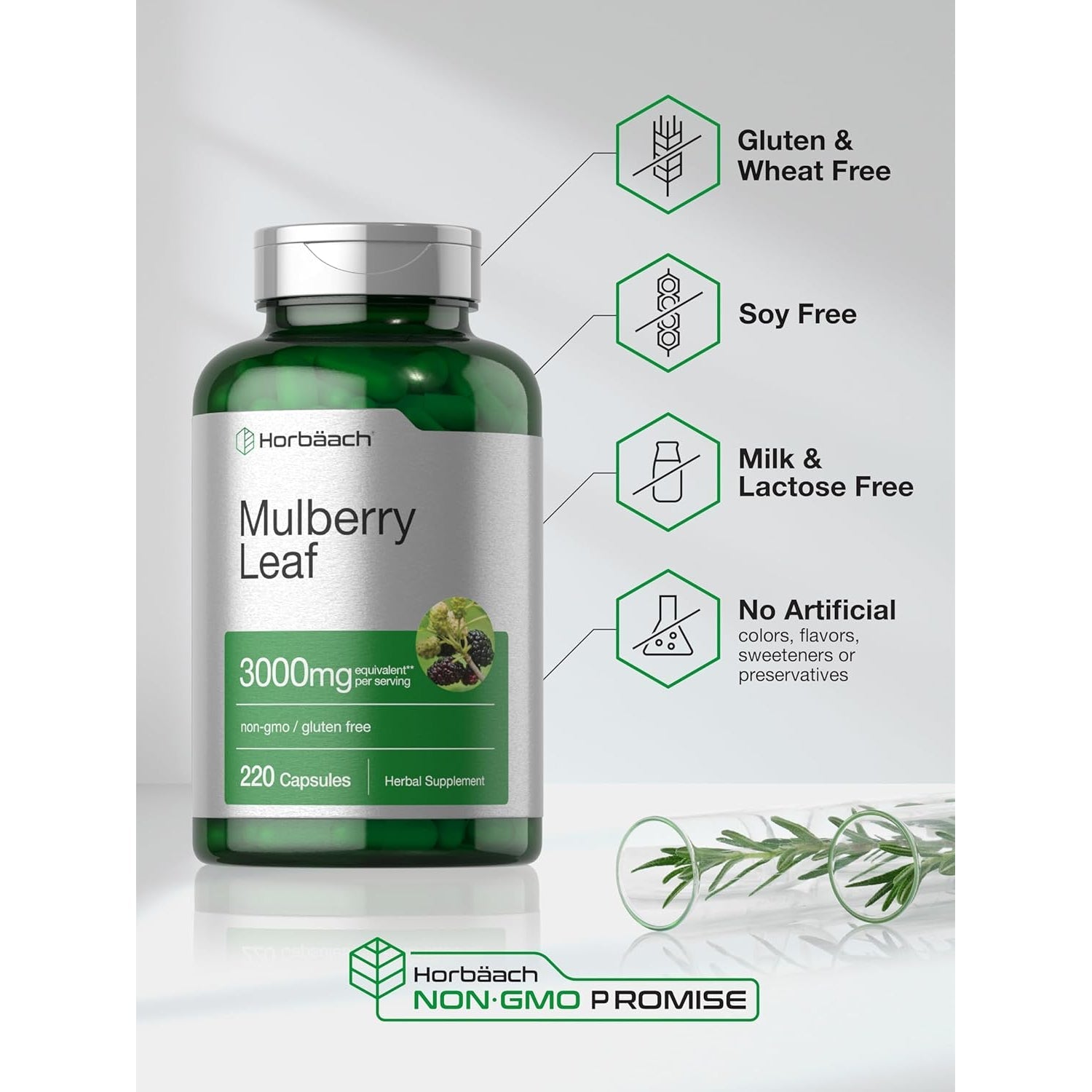 Horbäach Mulberry Leaf Extract Capsules | 220 Count | Non-Gmo, Gluten Free Herbal Supplement