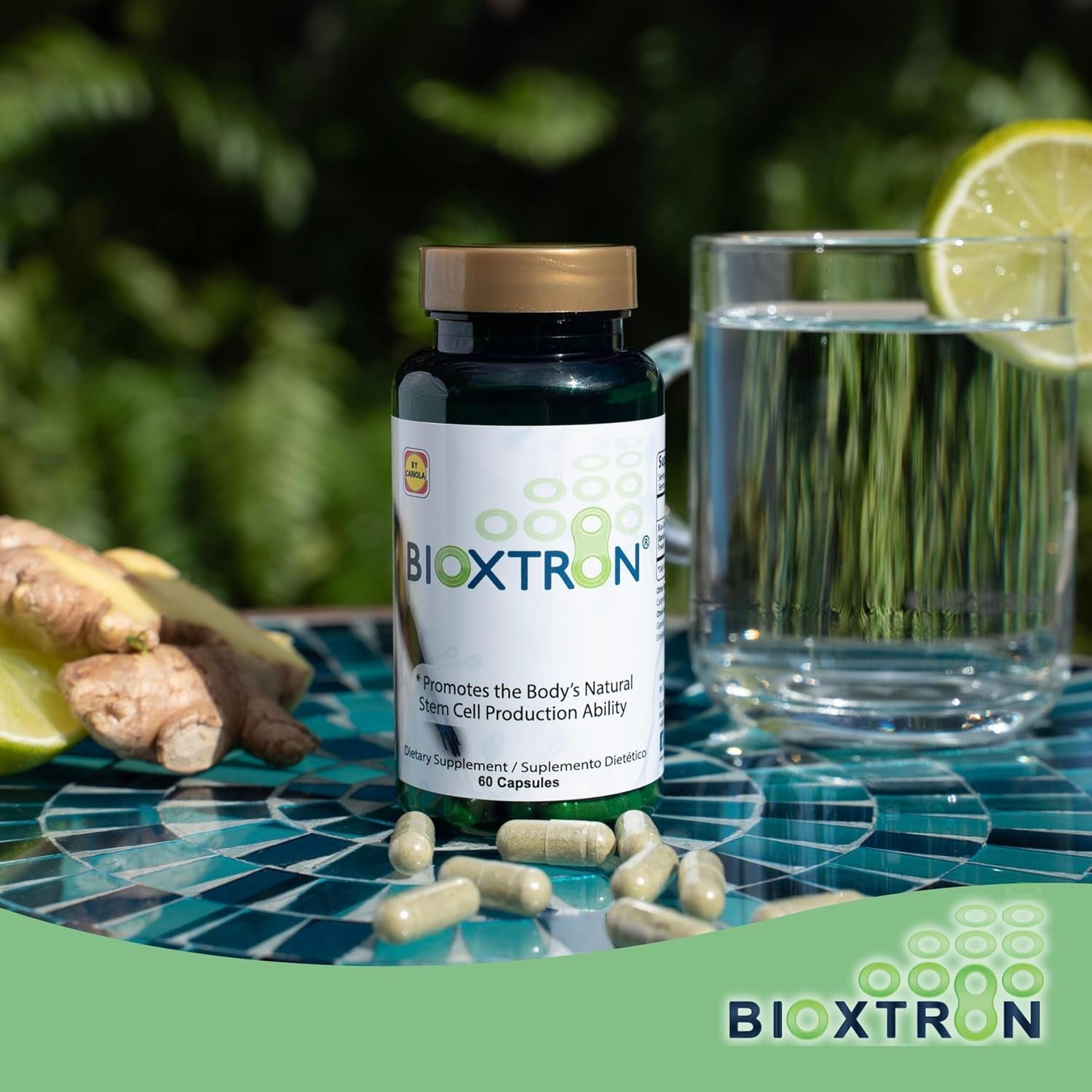 Bioxtron Natural Stem Cell Supplement Capsules - Cellular & Antioxidant Support Formula with Blue Green Algae, Spirulina, Immune & Energy Support - 60 Capsules